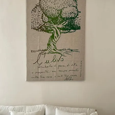 Casa Ulivo *